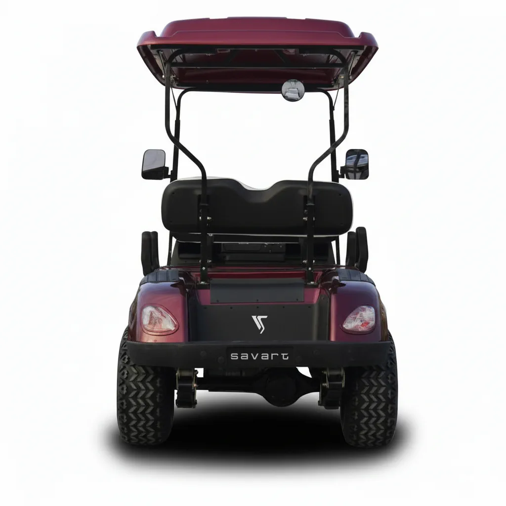 SAVART Buggy Car 4 Seat - View 4